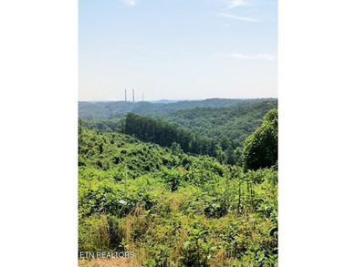 Over 350 ft of Road frontage this 14+/- acre parcel has been - photo 6
