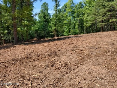 Over 350 ft of Road frontage this 14+/- acre parcel has been - photo 7