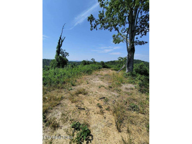 Over 350 ft of Road frontage this 14+/- acre parcel has been - photo 8