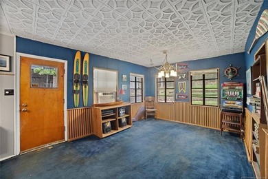 This is a must see for lake lovers. Main cabin plus 2-story - photo 4
