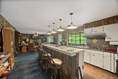 This is a must see for lake lovers. Main cabin plus 2-story - photo 6
