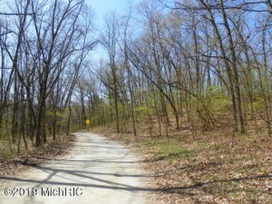Great opportunity to purchase a beautiful 2.4 acre wooded lot - Lake Acreage For Sale in Bridgman, Michigan