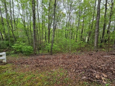 Lake Lot For Sale in Hayesville, North Carolina