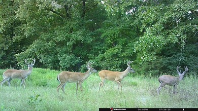 Custom Home on 76 Acres in Hector, Arkansas - Built in