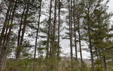 Lake Nottely Lot For Sale in Blairsville Georgia