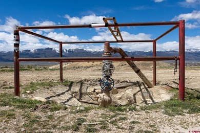 Justin D Osborn, The Wells Group of Durango, LLC, O:,,: - photo 8