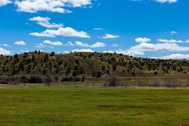 Justin D Osborn, The Wells Group of Durango, LLC, O:,,: - photo 9