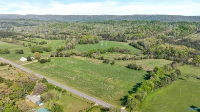 WELL ADMIRED FARM that includes 61 ACRES and a FULL BRICK HOME! - photo 3