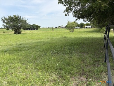 The property consists primarily of open pasture with current use - photo 3