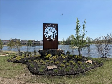 INCREDIBLE BUYER INCENTIVES ON ALL MOVE-IN READY AND TO-BE-BUILT - photo 32