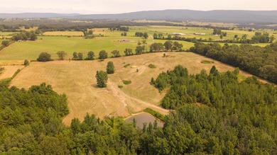 Custom Home on 76 Acres in Hector, Arkansas - Built in