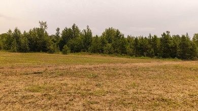 Custom Home on 76 Acres in Hector, Arkansas - Built in