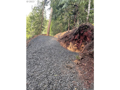 Come see this improved lot ready for your imagination. Park all - photo 2
