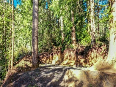 Come see this improved lot ready for your imagination. Park all - photo 3