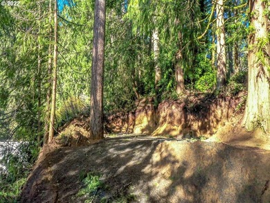 Come see this improved lot ready for your imagination. Park all - photo 4