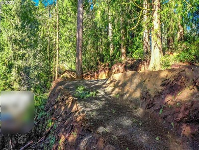 Come see this improved lot ready for your imagination. Park all - photo 5