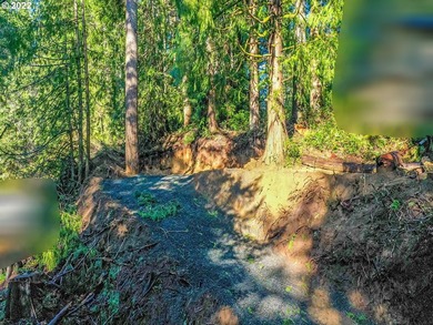 Come see this improved lot ready for your imagination. Park all - photo 6