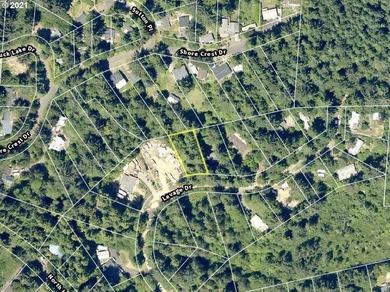 Come see this improved lot ready for your imagination. Park all - photo 8