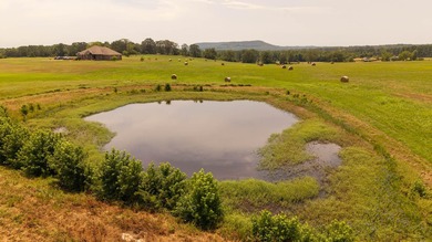 Custom Home on 76 Acres in Hector, Arkansas - Built in