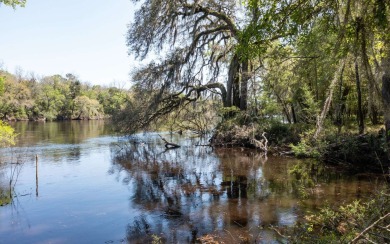 Suwannee River - Lafayette County Home For Sale in Mayo Florida
