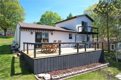 Lake Home For Sale in Candor Twp, Minnesota