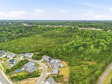 Set on an expansive .92-acre homesite in The Sanctuary at Forest - photo 50
