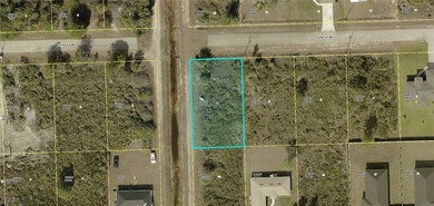 Lehigh Acres Area Lot For Sale in Lehigh Acres Florida