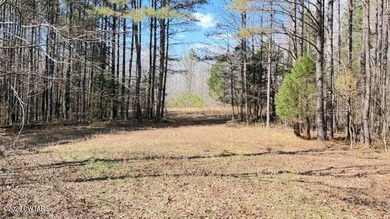 This is a well developed, once in a lifetime, recreational farm - photo 15