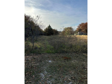 Lake Ray Roberts Acreage For Sale in Valley View Texas