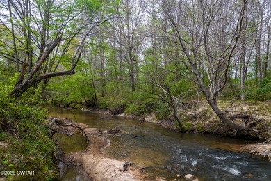 This is a well developed, once in a lifetime, recreational farm - photo 30