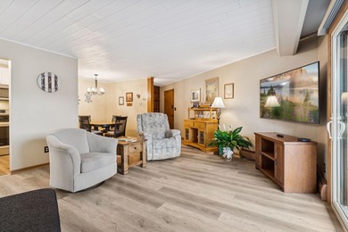 Lake Condo For Sale in Mound, Minnesota