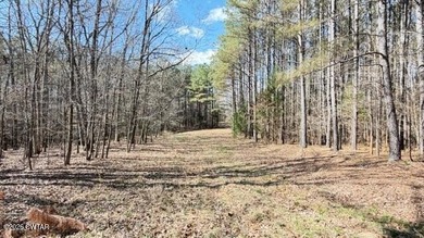 This is a well developed, once in a lifetime, recreational farm - photo 34