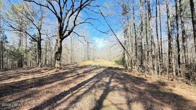 This is a well developed, once in a lifetime, recreational farm - photo 36