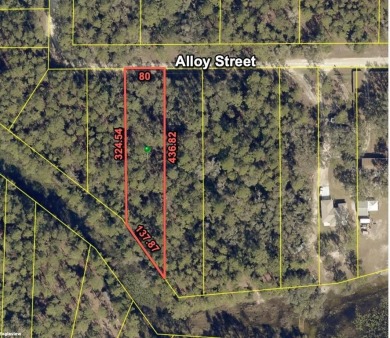 Lake Lot For Sale in Webster, Florida