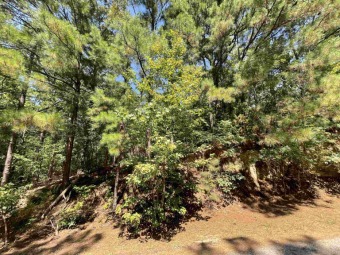 Lake O The Pines Lot For Sale in Avinger Texas