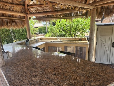 Well appointed back in lot with Tiki on the natural pond. Soak - photo 2
