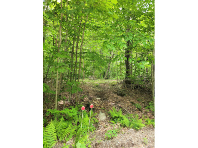 Hidden Lake Lot For Sale in Stoddard New Hampshire