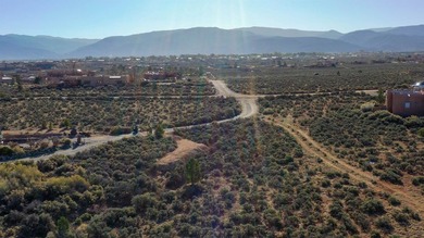 Welcome to Vista Linda Subdivision, where wide open spaces are - photo 7