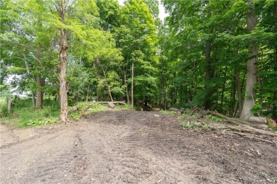 Lake Acreage For Sale in Leicester, New York
