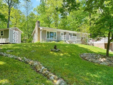 Vagabond Lake Home For Sale in Williford Arkansas