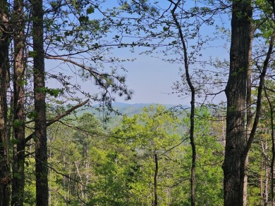 Lake Acreage For Sale in Ranger, Georgia