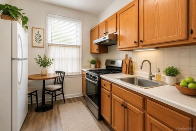 Welcome to 721 E. 242nd Street, a rare four-family investment - photo 8