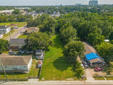 Nice size long lot near Downtown Biloxi. Just a few minutes to - photo 1