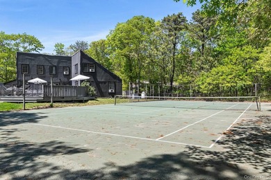 Experience the best of summer living in this beautifully - photo 12
