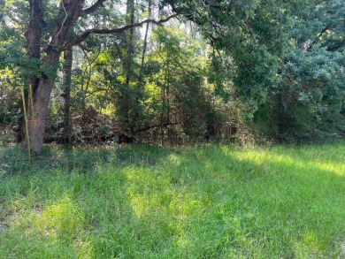PRETTY INTERIOR LOTS – GOLDEN ACRES!  - Lake Lot For Sale in Crockett, Texas