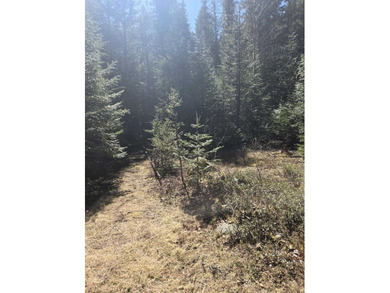 Secluded 5 acres just off Dry Canyon Rd. Secondary lot to - photo 1