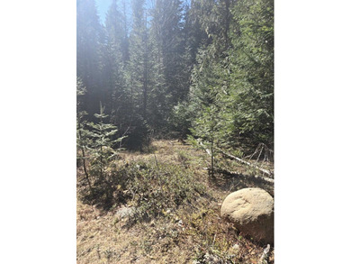 Secluded 5 acres just off Dry Canyon Rd. Secondary lot to - photo 3