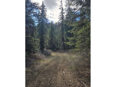 Secluded 5 acres just off Dry Canyon Rd. Secondary lot to - photo 5