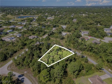 Lehigh Acres Area Lot For Sale in Lehigh Acres Florida