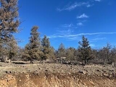 Upper Klamath Lake Lot For Sale in Klamath Falls Oregon